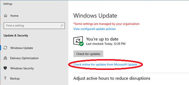 Check online for updates from Microsoft Update